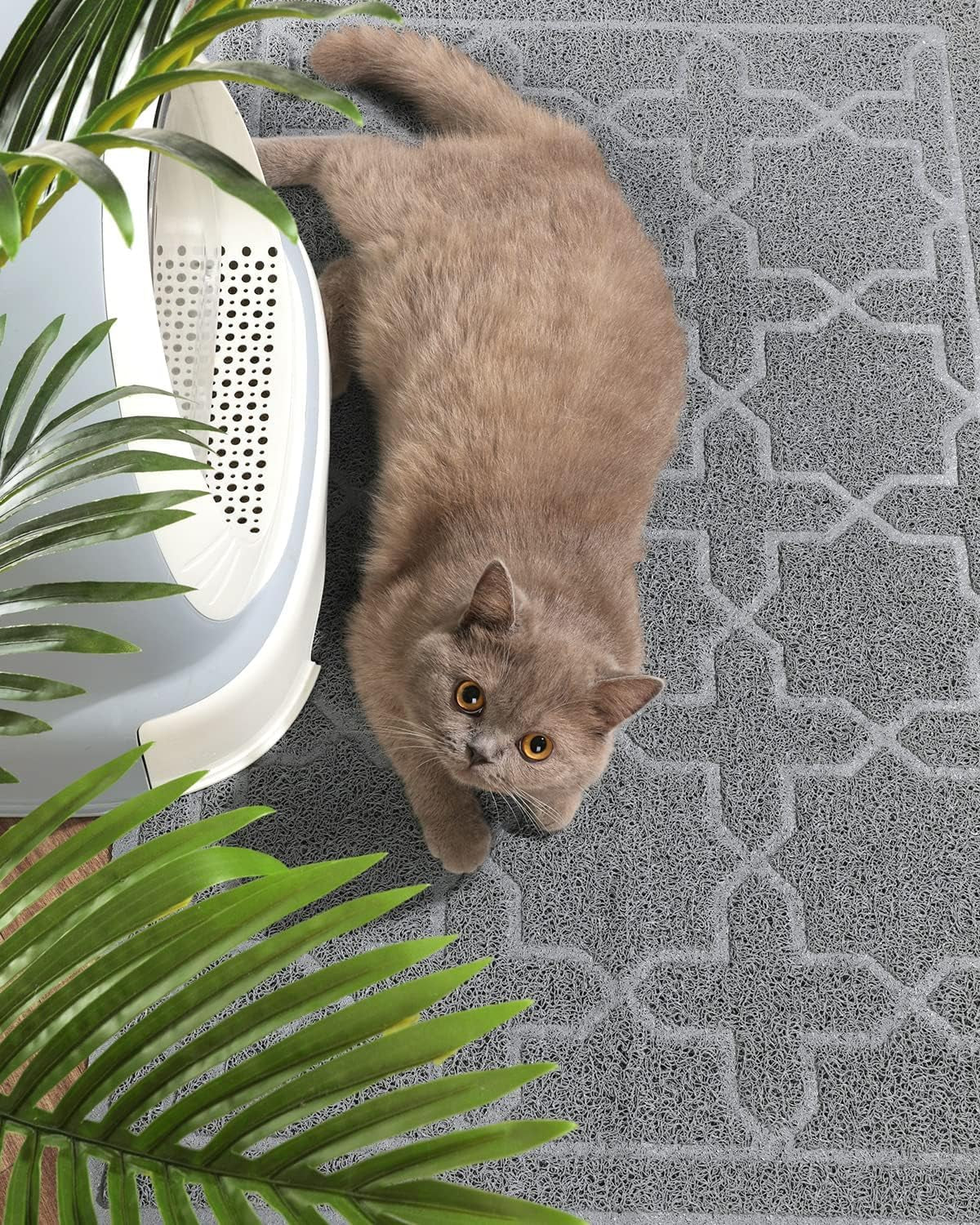 Cat Litter Mat, 35.4"X23.6" Litter Box Mat with Litter Lock Mesh, Soft Cat Litter Mat Litter Trapping Mat, Easy to Clean, Non-Slip, Water Resistant, Litter Free Floors, Dark Grey