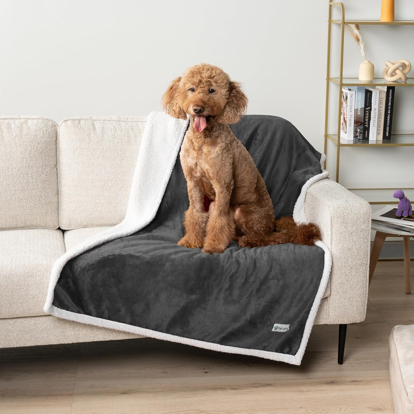 Waterproof Dog Blanket for Small Medium Dog, Pet Puppy Blanket Couch Cover Protection, Sherpa Fleece Cat Blanket Washable Throw Couch Sofa Bed Furniture Protector Reversible Soft 29X40 Charcoal